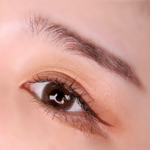 LENSME Megalook Fallin Choco(月拋)